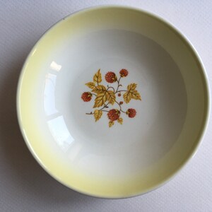 May include: A white ceramic bowl with a yellow rim and a floral design featuring red berries and green leaves.