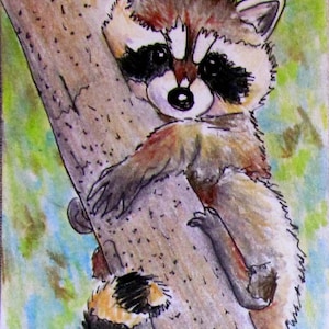 Mapache en el árbol, impresión del dibujo original, arte animal, título- cara divertida