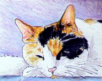 Cat art, Print of Original Drawing, Animal Art, Title- Sleepy Calico