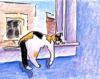 Cat art, Print of Original Drawing, Animal Art, Title- Afternon Nap