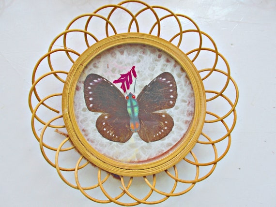 Jamaican Wood Art  Culinary Butterfly
