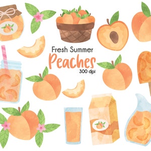Peach clipart, Peaches clipart, Peach basket Clipart, Peach Jam clipart, Fruit Clipart, Peach Juice PNGs