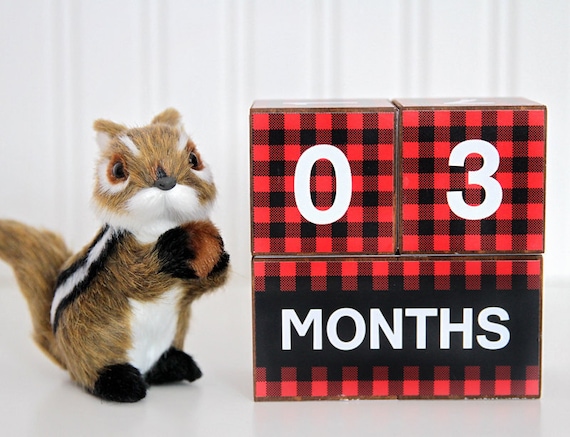 diy baby milestone blocks