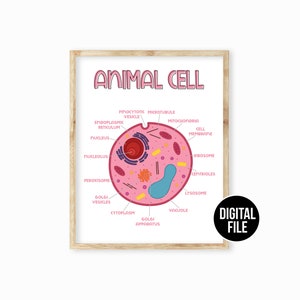 Plant Cell Classroom Science Poster Art Printable, Science Printable ...