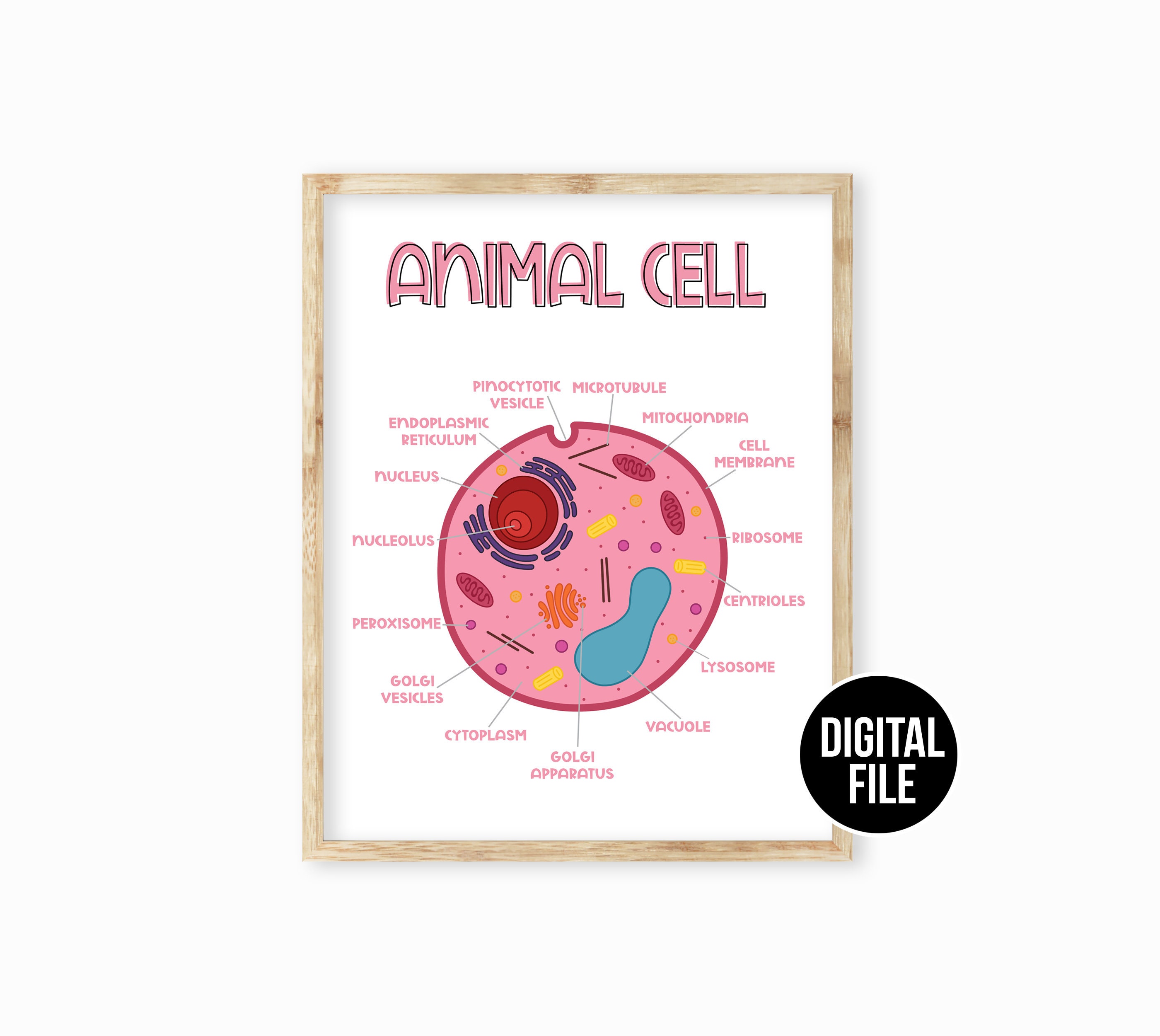 Plant Cell Classroom Science Poster Art Printable Science - Etsy Australia