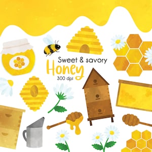 Honing clipart, bijenteelt clipart, honing kam clipart, Daisy clip art PNG's, bijenkorf, bij,