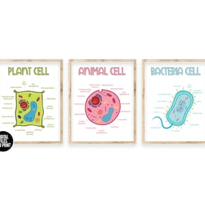 Plant Cell Classroom Science Poster Art Printable, Science Printable Anatomy Posters, Animal Cell, Bacteria, Homeschool Classroom Montessori