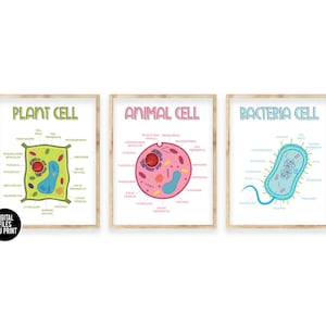 Pflanzenzelle Klassenzimmer Wissenschaft Poster Kunst druckbar, Wissenschaft Druckbare Anatomie Poster, Tierzelle, Bakterien, Homeschool Klassenzimmer Montessori