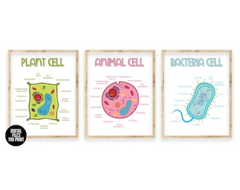 Plant Cell Classroom Science Poster Art Printable, Science Printable Anatomy Posters, Animal Cell, Bacteria, Homeschool Classroom Montessori