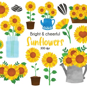 Sunflower clipart bundle, Flower Clipart, Country Clipart, Summer Clipart