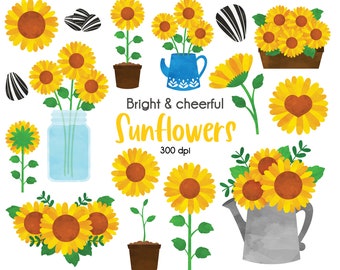 Sunflower Clipart PNG Bundle, Boho Sunflower Clipart, Rustic Floral Clipart, Sunflower Graphics, Summer Flower illustration, Country Clipart