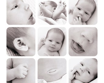 Newborn template, Storyboard template, Story board, 12x12, Collage template, Blog Board, photoshop template, baby template, photographer