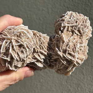 Desert Rose Cluster - Sand Selenite - Gypsum