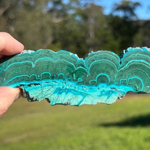 Malacholla Slice - Malachite & Chrysocolla