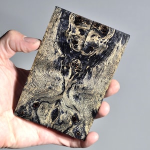 May include: A rectangular piece of wood with a unique grain pattern, featuring dark blue and tan hues. The wood has a natural, organic appearance with intricate swirls and knots. The piece is held in a hand, showcasing its size and texture.