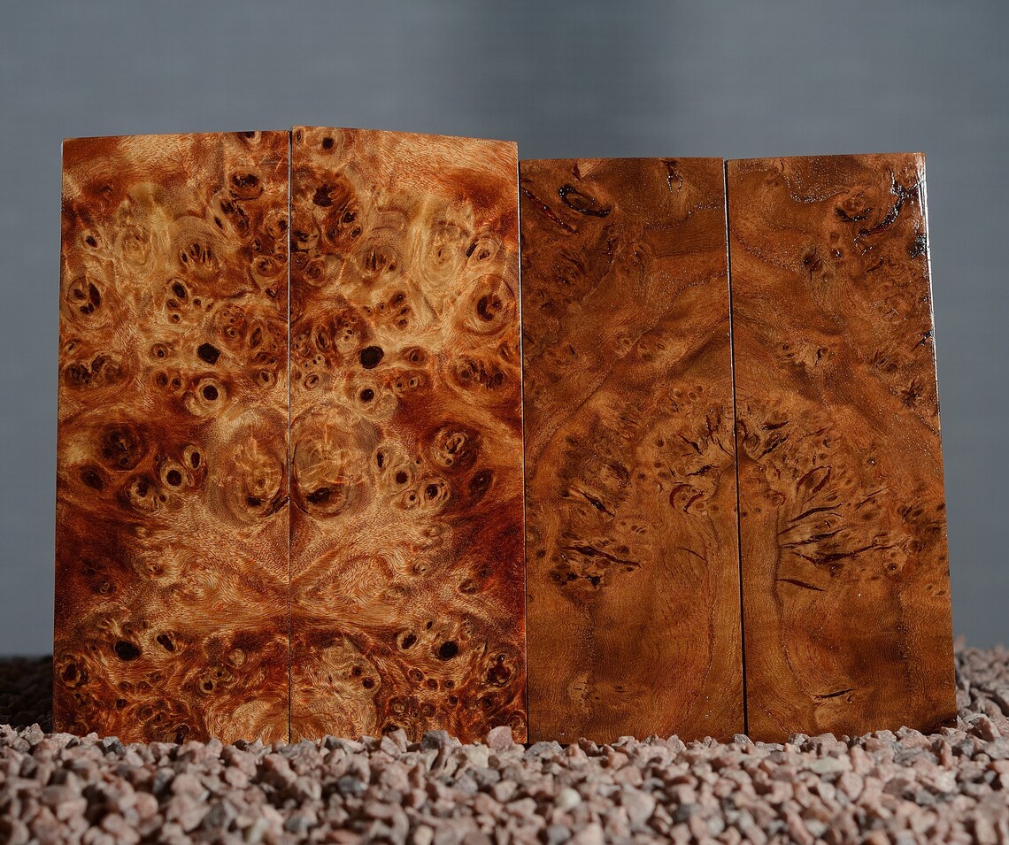 4 x scales elm poplar Stabilized wood burl for knife handle Etsy