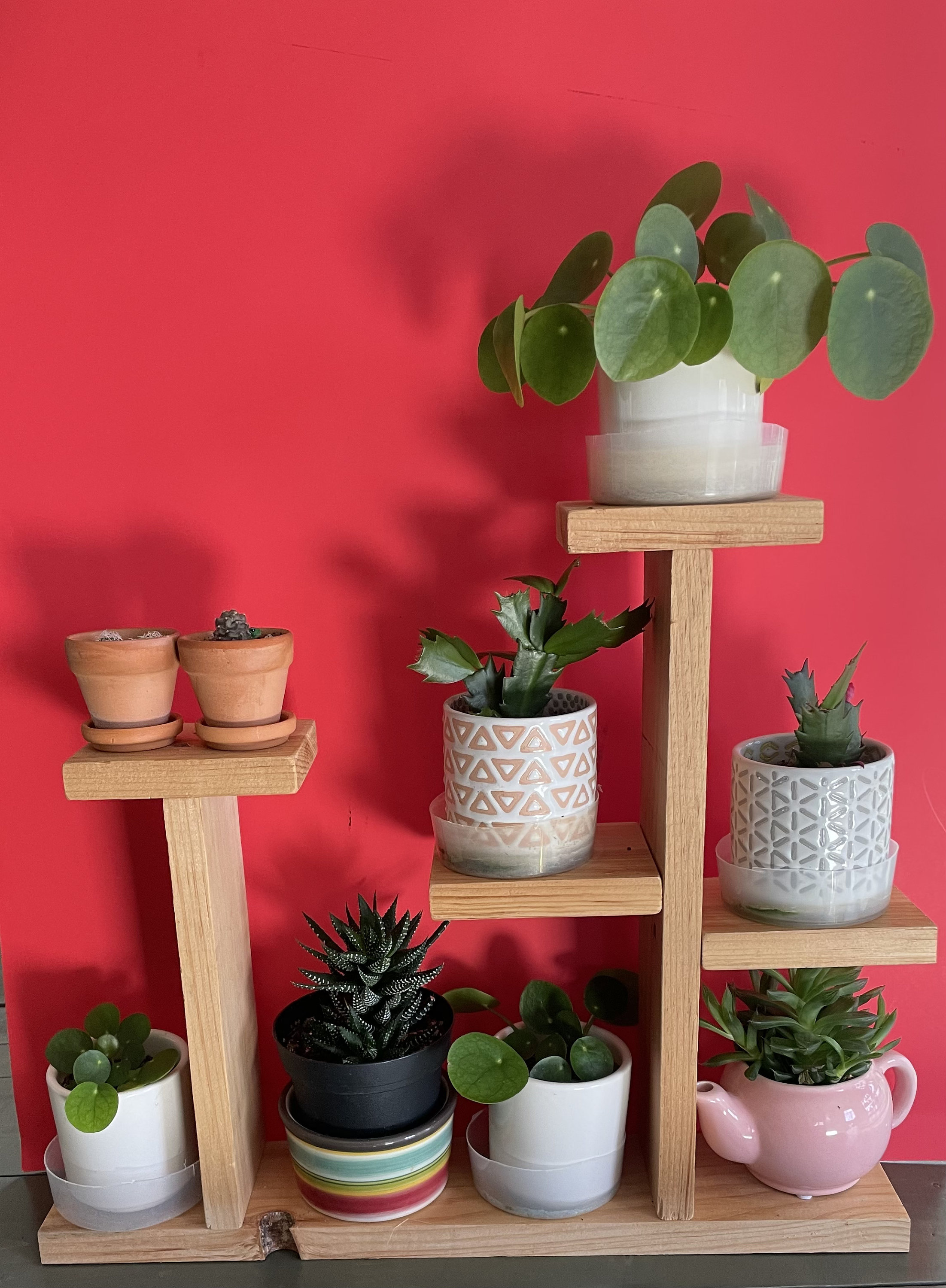 12 planter pots Farmer's Short Tapered Planter Set of 12