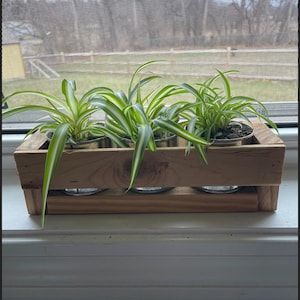 Rustieke plantenbak met 3 miniblikjes, houten plantenbak, houten vetplantenbakken, vensterkruidentuin, houten kist kamerplant