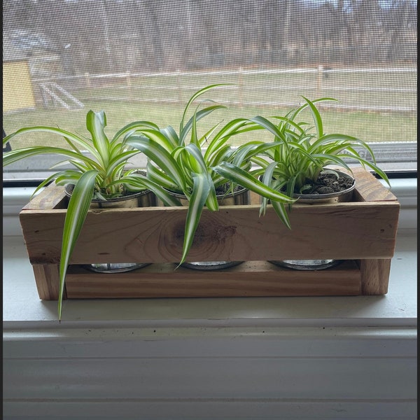 Rustic Planter Box w/3 Mini Can Containers, Wooden Planter Box, Wooden Succulent Planters, Window Herbs Garden, Indoor Plant Wooden Box