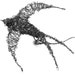 Owner of <a href='https://www.etsy.com/shop/WireyCreatures?ref=l2-about-shopname&from_page=listing' class='wt-text-link'>WireyCreatures</a>