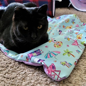 Summer Fun Crinkly Catnip Mats, Opt Herbs, Padded Catnip Blanket Beds for Play & Sleep, Fun Kitty Toys