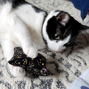 Puede incluir: Un gato blanco y negro está jugando con un juguete negro para gatos con un diseño de Halloween. El gato está acostado sobre una alfombra estampada, con una expresión concentrada. El juguete tiene un diseño de calabaza y murciélago.