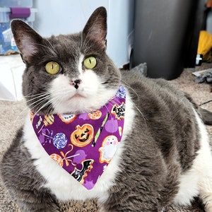 Halloween Cat Bandanas, Pick a Pattern, Fits older Kittens & Cats, Spooky Pumpkins Witchy Holiday, Photoshoot Bandana, Fall Cat Fashion