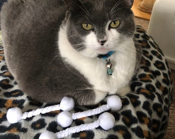 Large Swab Cat Toys, Set of 3, Safe Tip Q Toys, Cat Enrichment Gifts