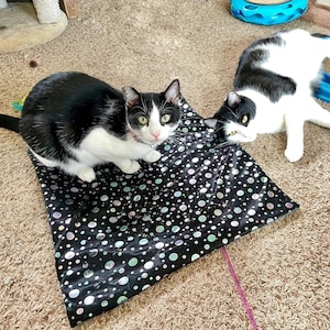 Slippery Crinkly Catnip Mats for Cats, Refillable Catnip Toy, Fun Kitten Toys, Cat Enrichment Toy, No Mess Cat Toys, Artisan Made Cat Toys