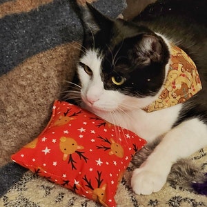Large Square Kicker Cat Toyss, Pick a Pattern, Opt Herbs & Bell, Durable Fabric Toy for Kittens, Pillow Cat Toy for Catss