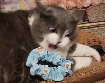 Scrunchie Cat Toys with Catnip, Jingle Bell, Pick a Theme, Cat Fetch Toys for Bored Cats