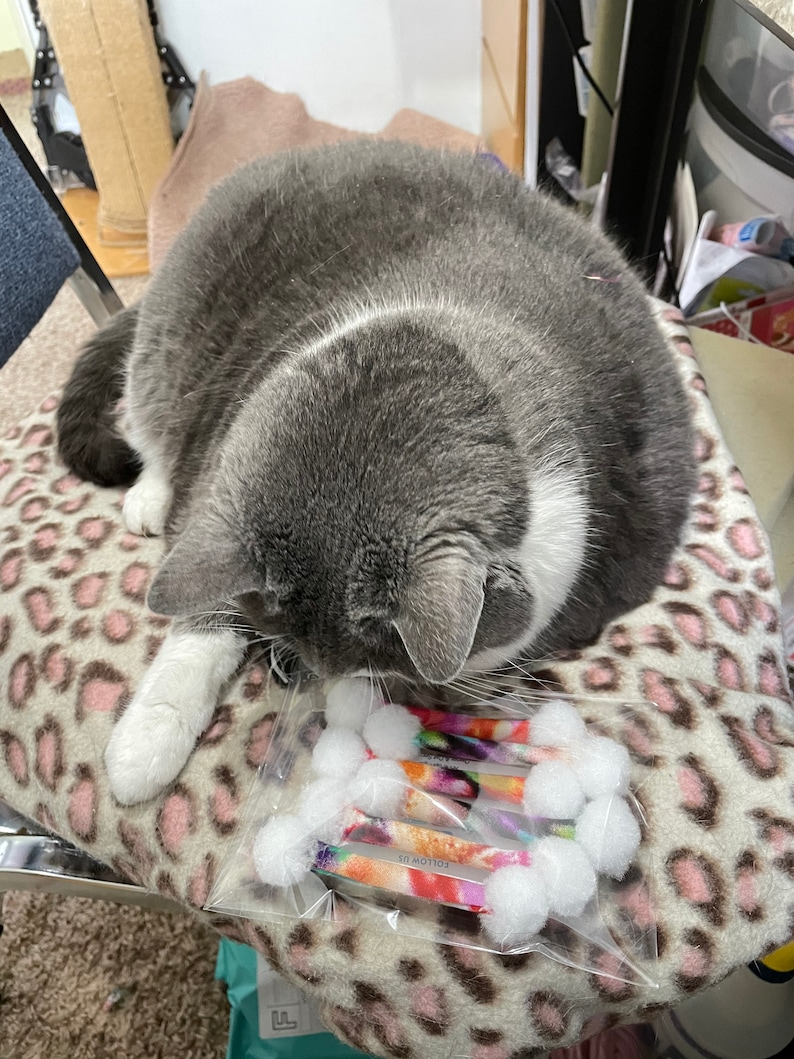 Pode incluir: Um gato cinza e branco descansa sobre uma almofada com estampa de leopardo, olhando para um pacote de brinquedos para gatos. Os brinquedos s&atilde;o cil&iacute;ndricos com um pompom em uma extremidade e um design estampado colorido. O texto "FOLLOW US" &eacute; vis&iacute;vel nos brinquedos.