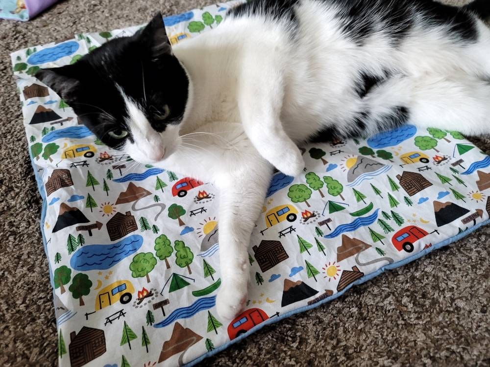 AWOOF Cat Mat, Cute Soft Catnip Mat, Cat Activity Mat Machine Washable Cat  Play Mat for Small Medium Large Cats with 8 Pockets, Crinkle Paper