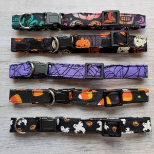May include: Five Halloween-themed pet collars with black plastic buckles and metal D-rings. The collars feature various patterns, including skulls, pumpkins, spiderwebs, candy corn, and ghosts. Each collar is approximately 1 inch wide.