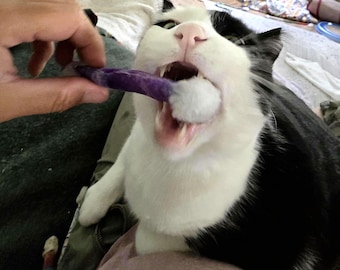 Kitty Swabs kattenspeeltje, set van 3, met kattenkruid Silvervine, apporteerspeeltje voor katten, interactief wattenstaafjesspeeltje voor kittens, milieuvriendelijk cadeau voor kattenliefhebbers
