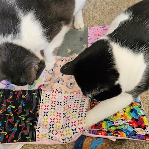 Crinkly Catnip Puzzle Mats Cat Toys with Pockets, Pick a Theme, Opt Herbs, Purrfect For Hiding Food Treats Toys, Cat Enrichment Activity Mat