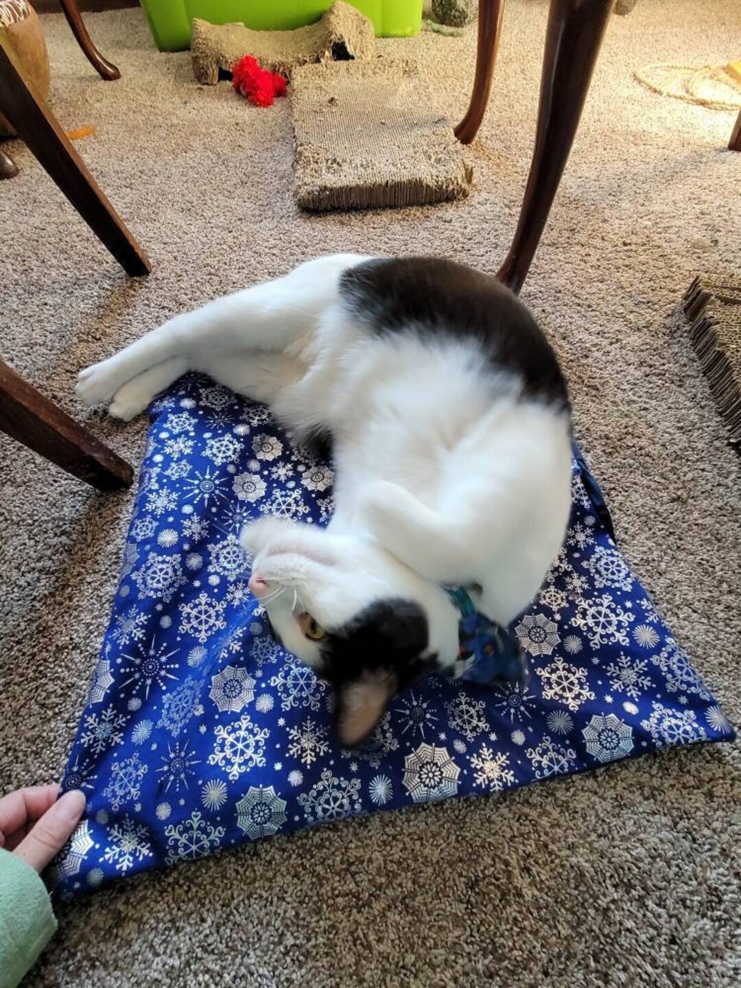 Holiday Crinkly Catnip Mat Blankets With Optional Catnip, Refillable