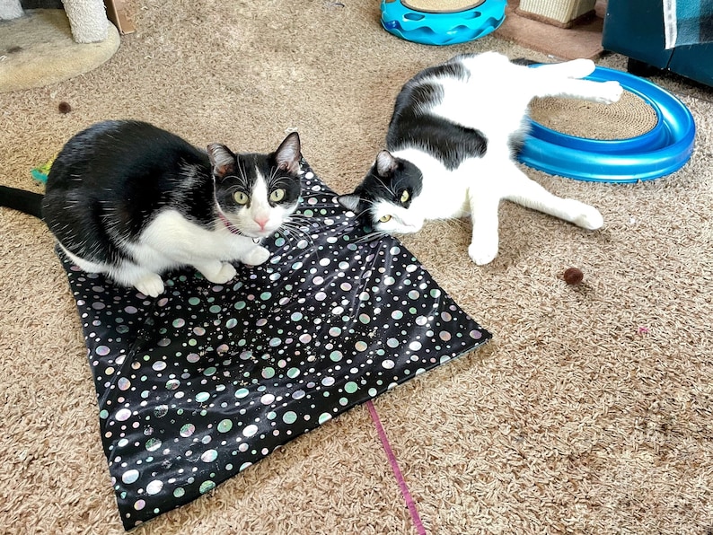May include: Two black and white cats are on a patterned cat mat. One cat is sitting and looking at the camera, while the other is lying down. The mat is black with white and iridescent dots.