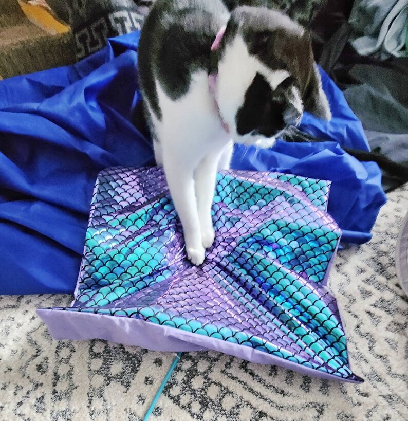 May include: A black and white cat with a pink collar stands on a mermaid tail-shaped pillow. The pillow features a scale pattern in shades of purple, teal, and blue. The background includes blue fabric and a patterned rug.