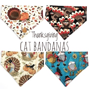 Personalized Thanksgiving Cat Bandana: Over The Collar, Fall Turkey Design