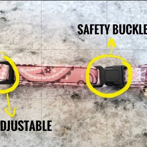May include: Pink and white paisley patterned cat collar with a black safety buckle and adjustable strap. Includes a silver bell. Text on the image reads "SAFETY BUCKLE" and "ADJUSTABLE".