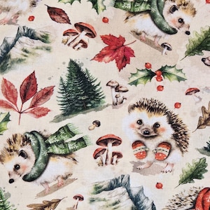Xmas Hedgehogs Crinkly Cat Nip Mats, Fun Cat Toys, Custom Cat Bed, Padded Catnip Beds, Crinkly Toys for Cats, Safe Kitten Toy, Crinkle Beds