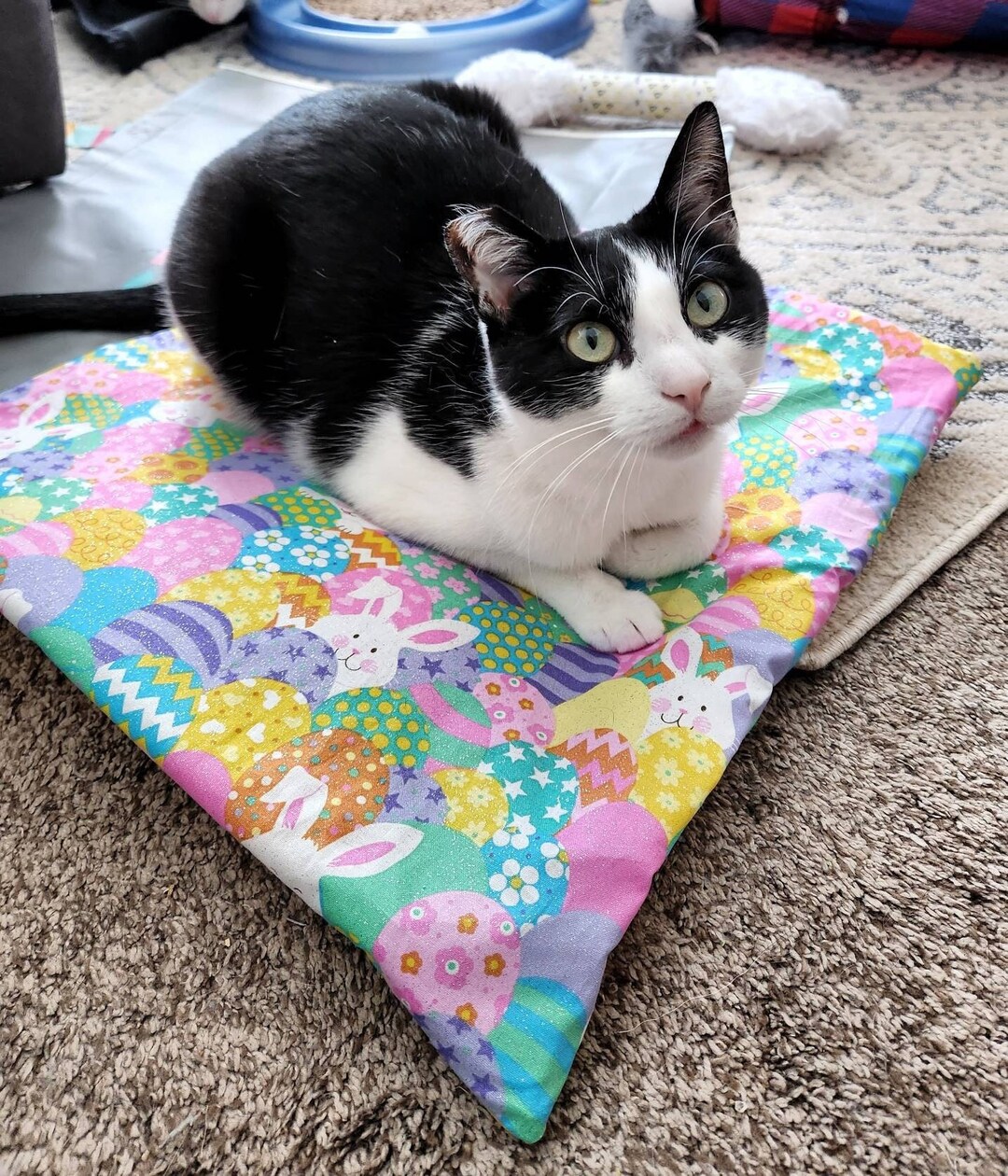Colorful Crinkly Cat Play Mats Pick a Spring Fabric Custom Etsy