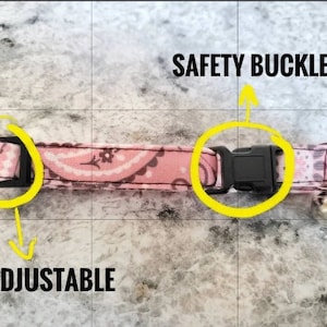May include: Pink cat collar with a paisley pattern, adjustable black buckle, and a safety buckle. The collar also features a small silver bell. The word "ADJUSTABLE" is written on the image.