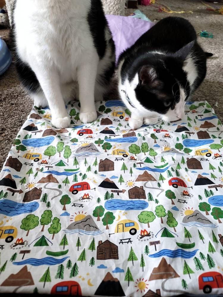 Adventure Cat Crinkly Catnip Mat Blankets Opt Kitty Kicker Toy, Refillable  Mats, Cat Kitten Play Mat, Adventure Cat Blanket, RV Gift Cat Toy 