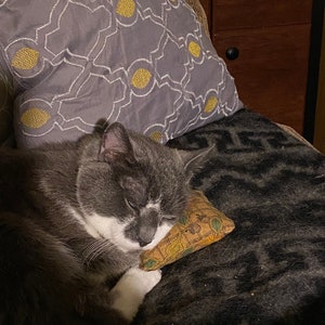 K&ouml;nnte beinhalten: Eine grau-wei&szlig;e Katze schl&auml;ft auf einer dunkelgrauen Decke und st&uuml;tzt ihren Kopf auf einem kleinen, gemusterten Kissen ab. Im Hintergrund befindet sich ein graues Kissen mit einem gelb-wei&szlig;en Design.