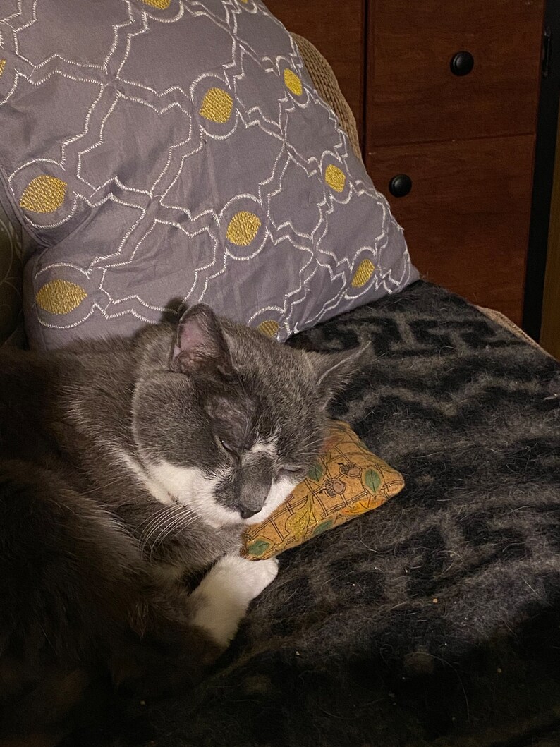 K&ouml;nnte beinhalten: Eine grau-wei&szlig;e Katze schl&auml;ft auf einer dunkelgrauen Decke und st&uuml;tzt ihren Kopf auf einem kleinen, gemusterten Kissen ab. Im Hintergrund befindet sich ein graues Kissen mit einem gelb-wei&szlig;en Design.