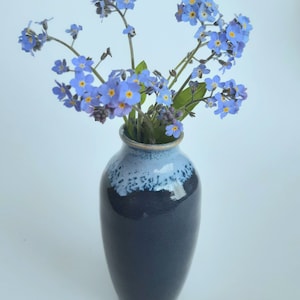 May include: A bouquet of blue forget-me-not flowers in a dark blue and white glazed ceramic vase.