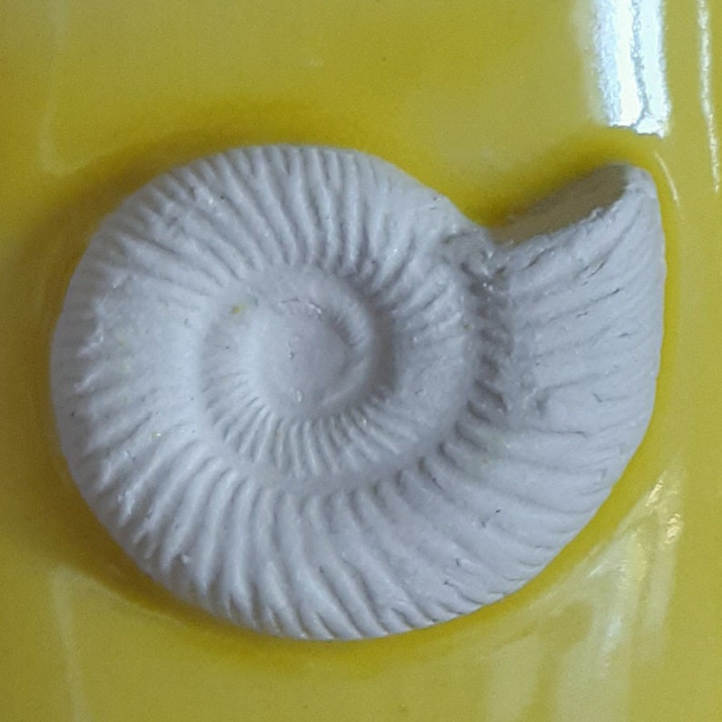 May include: A white ceramic ammonite fossil with a spiral shape and detailed ridges, set against a bright yellow background.