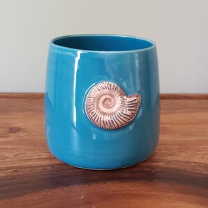 May include: A teal ceramic mug with a raised, brown ammonite fossil design.